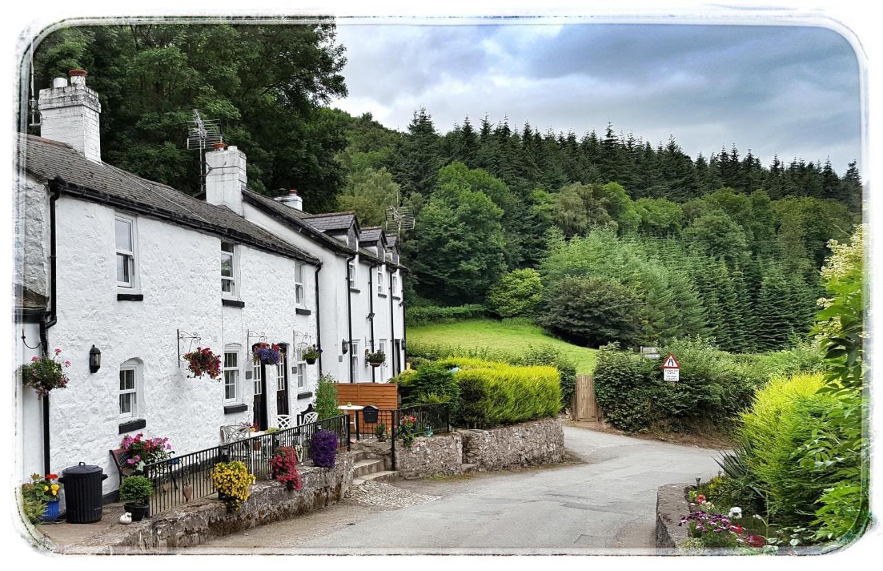 River Cottage St Asaph Dış mekan fotoğraf