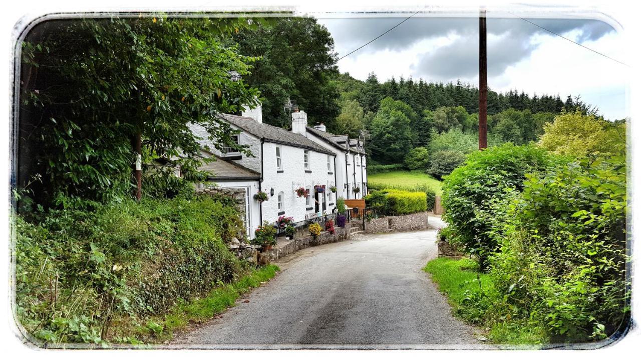 River Cottage St Asaph Dış mekan fotoğraf